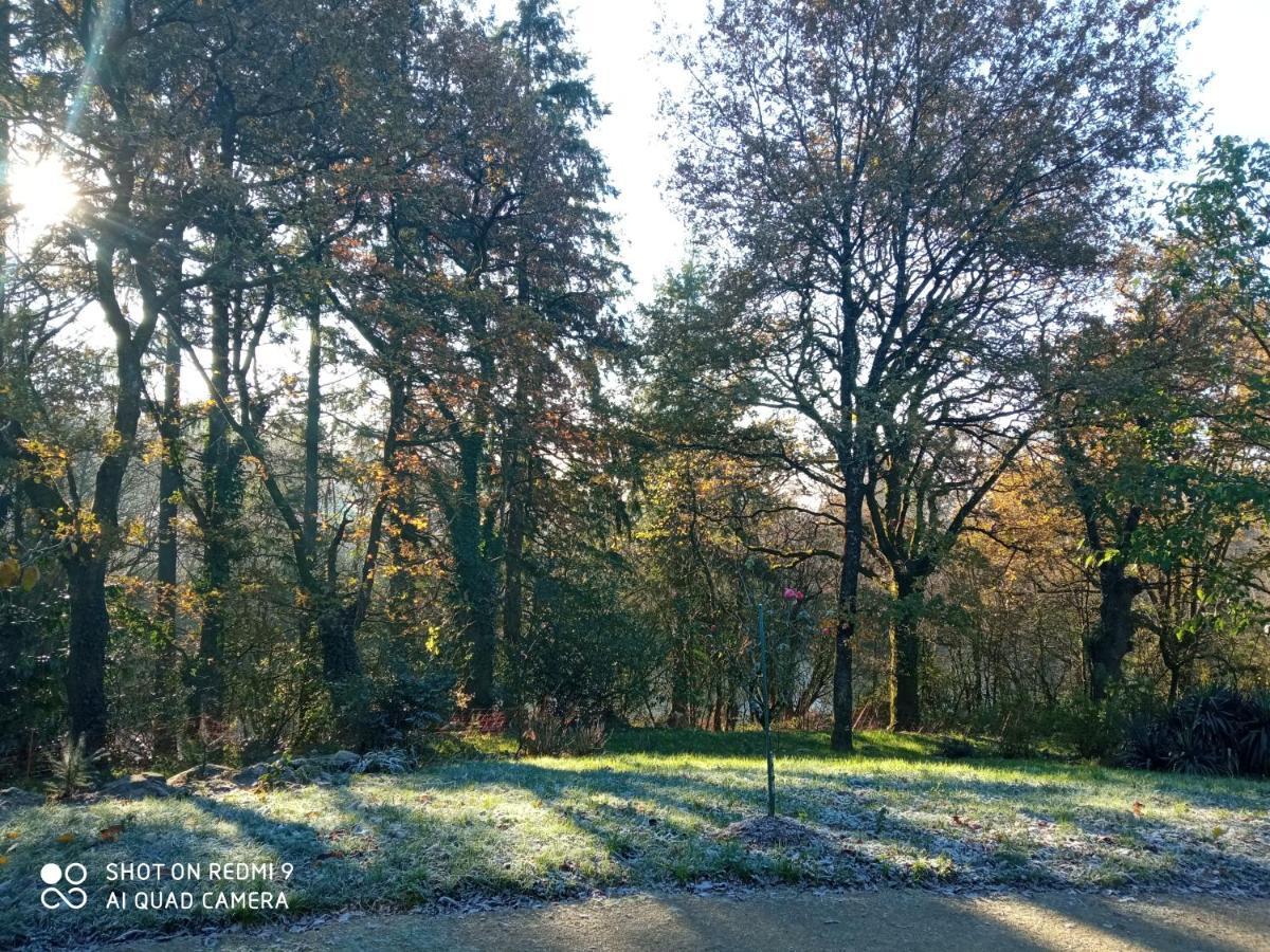 Les Trois Geais Bed & Breakfast Les Epesses Bagian luar foto