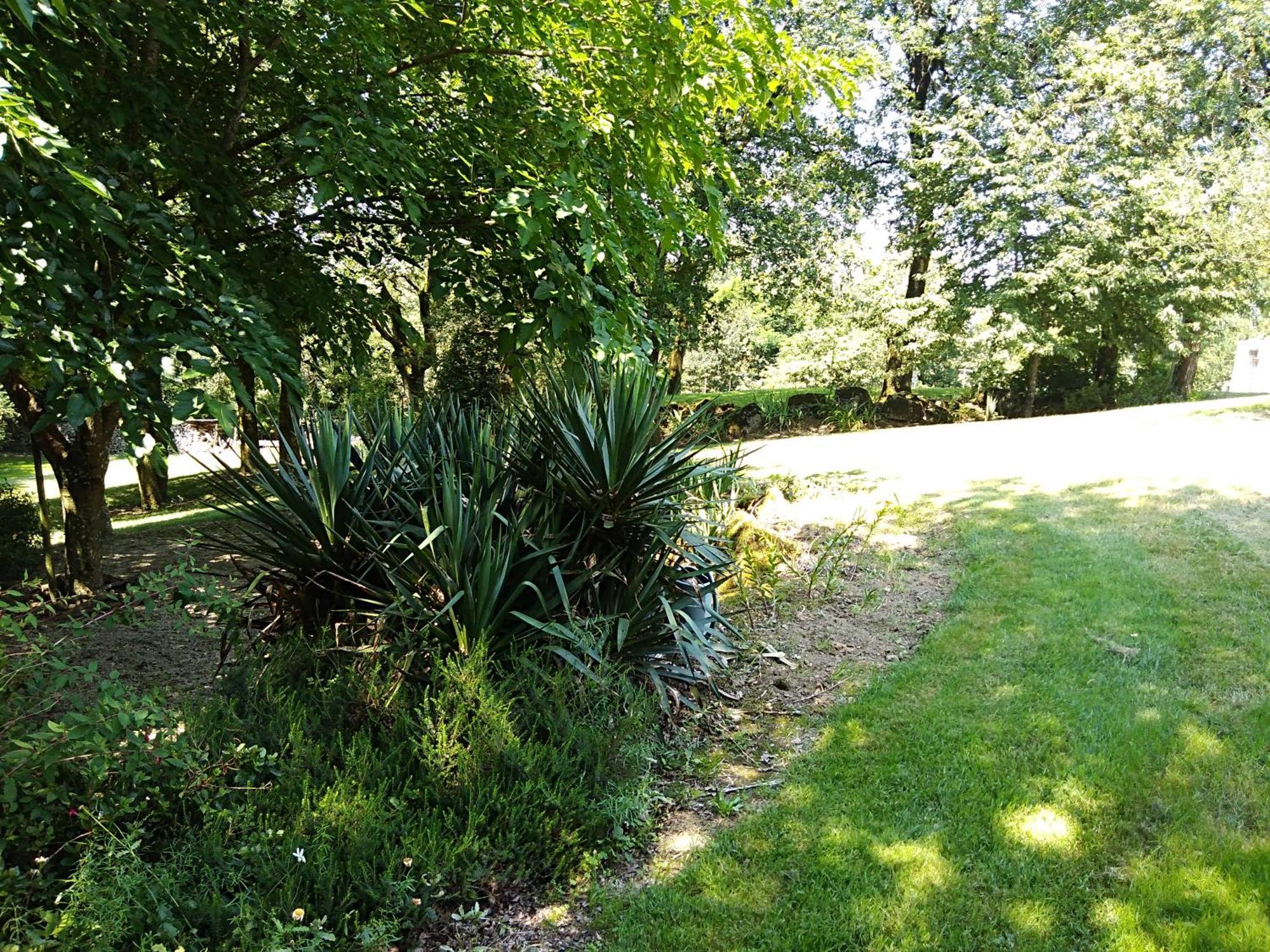 Les Trois Geais Bed & Breakfast Les Epesses Bagian luar foto